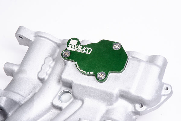 Radium Engineering ACV Block-Off Plate Mazda (FD3S) 13B-REW