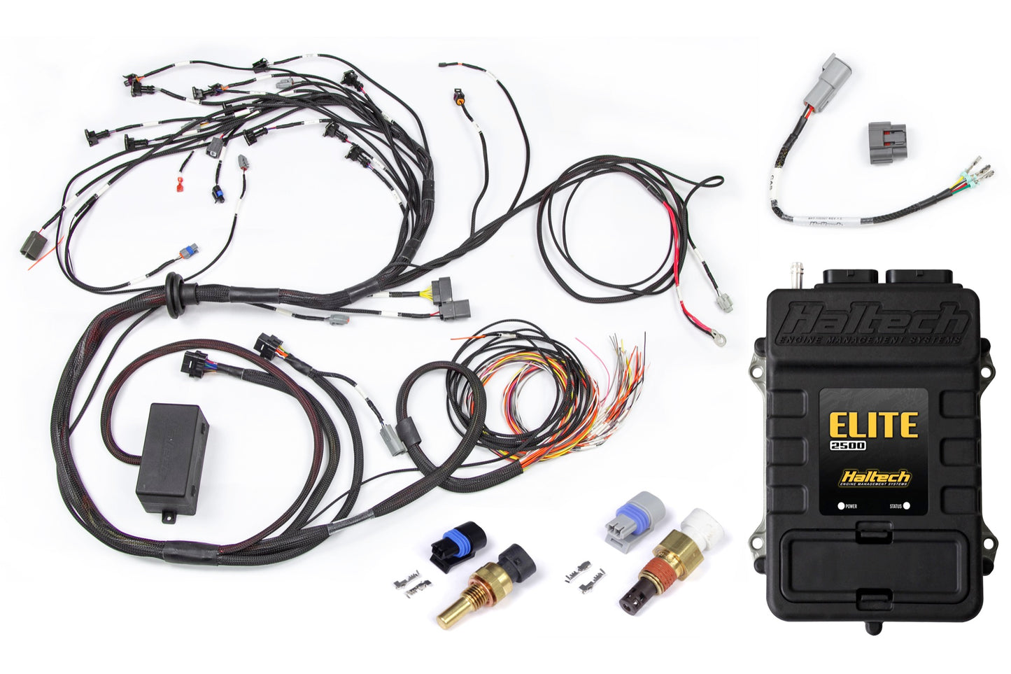 Haltech RB Twin CAM Elite 2500 ECU, Main Harness, CAS Breakout No Coil Harness