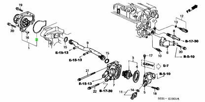 Honda OEM Water Pump O-ring B16A2/B16B/B18C 19222-PR4-003