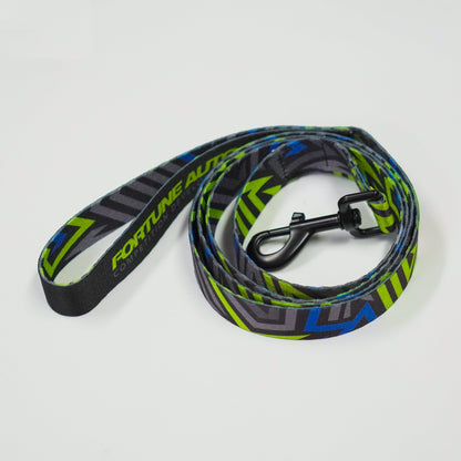 Fortune Auto Dog Leash/Collar