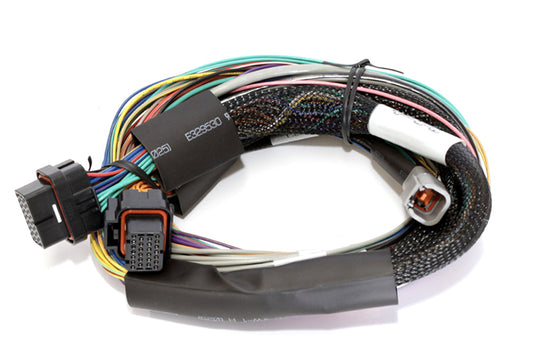 Haltech Elite 2500 & 2500 T Basic Universal Wire-in Harness Length: 2.5m (8')